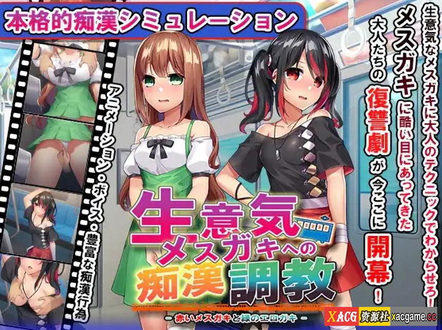 [PC+安卓+IOS/互动SLG/调教]痴漢調教~調教两个自大的小母狗~ 精翻汉化版【900MB】